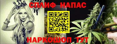 амф Кимры