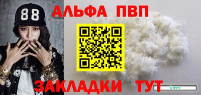 прущие грибы Кингисепп
