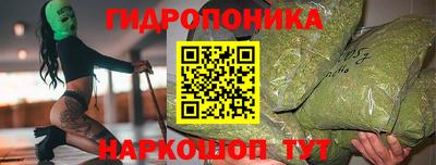 стафф Кинель