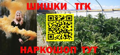 прущие грибы Кингисепп