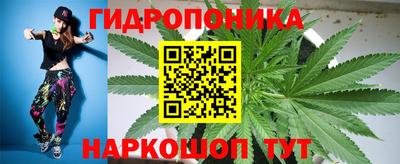 амф Кимры