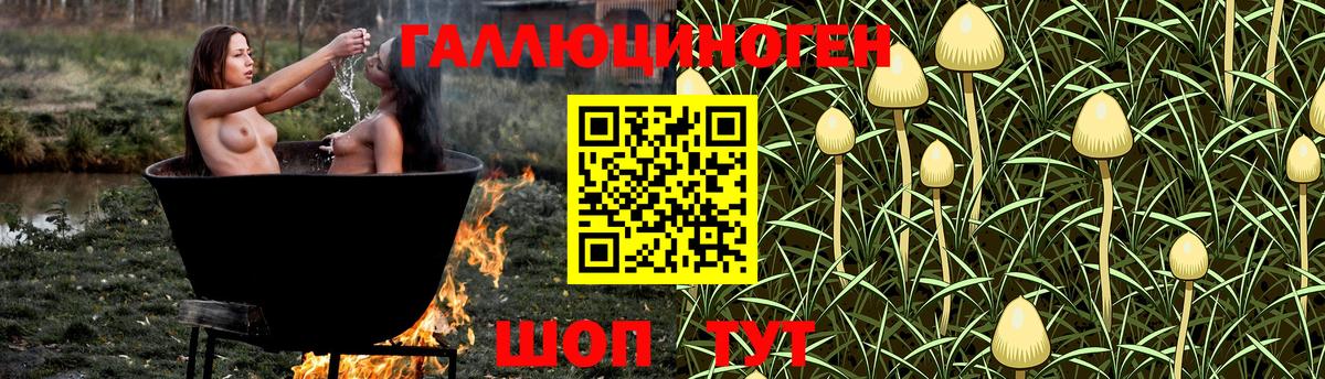 Псилоцибиновые грибы Psilocybine cubensis  Вход с VPN  Псилоцибиновые грибы прущие грибы  Кизляр 