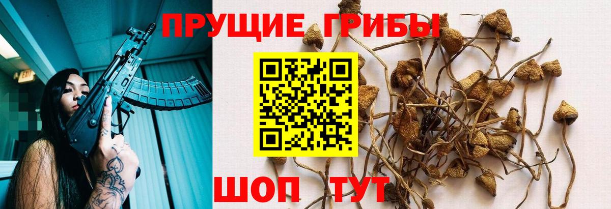 Кизляр  ТГК  МАРИХУАНА  Вход с VPN  Купить наркотики цена  МЕФ кристаллы  ГАШ  Кокаин 